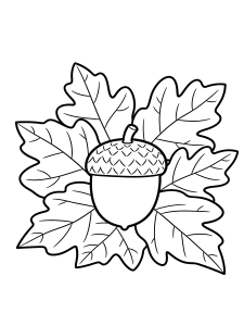 Autumn Leaves Coloring Page – free printable black and white line art