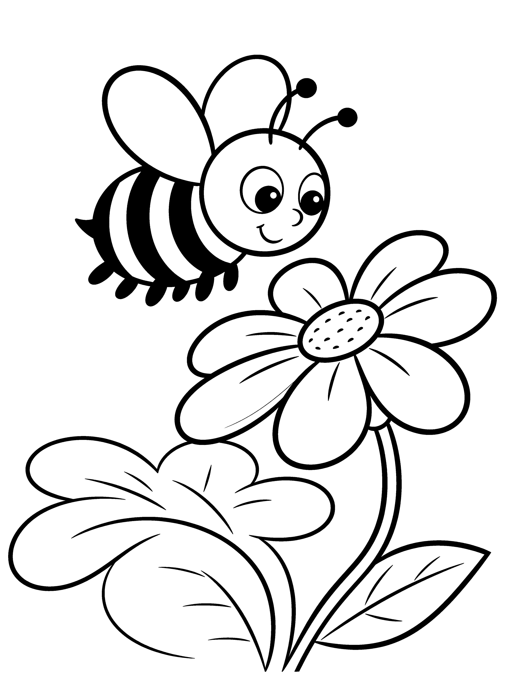 Bee Coloring Page – free printable black and white line art